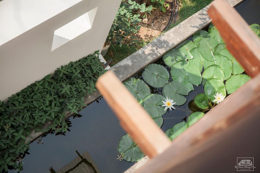 The Home Chiangmai Luxury Guesthouse Chiang Mai Buitenkant foto