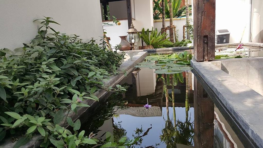 The Home Chiangmai Luxury Guesthouse Chiang Mai Buitenkant foto